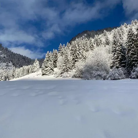 Parking Terrasse Pour 4 Personnes Au *