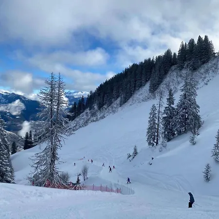 Parking Terrasse Pour 4 Personnes Au Vionnaz