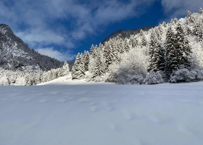 Parking Terrasse Pour 4 Personnes Au *