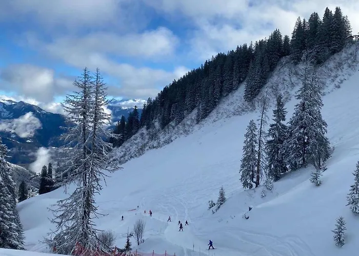 Parking Terrasse Pour 4 Personnes Au Vionnaz